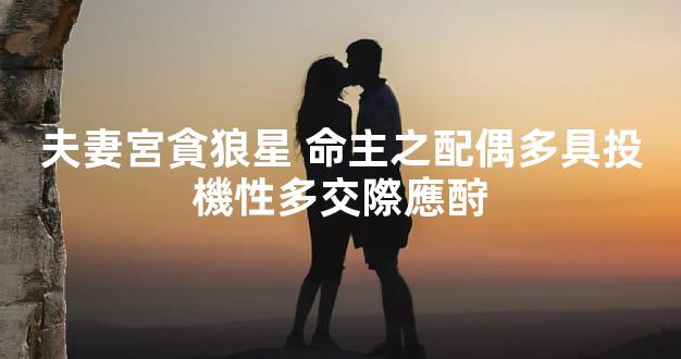 夫妻宮貪狼星 命主之配偶多具投機性多交際應酧